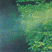 ҽˮ