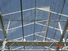 Ҵ ʾ www.eg2000.cn