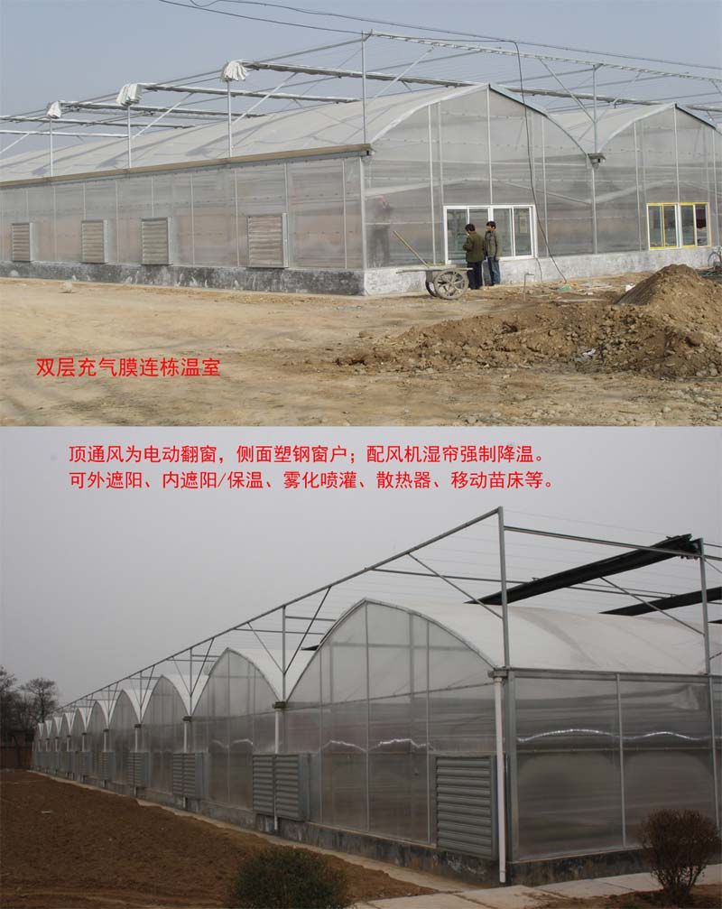 陕西温室|陕西大棚建设