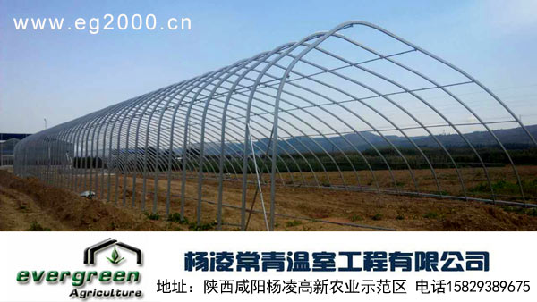 阳光板温室|陕西温室设计|陕西温室生态餐厅