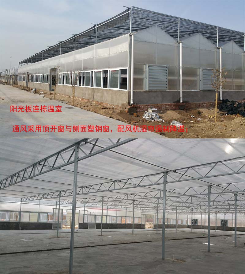 陕西温室|陕西大棚建设