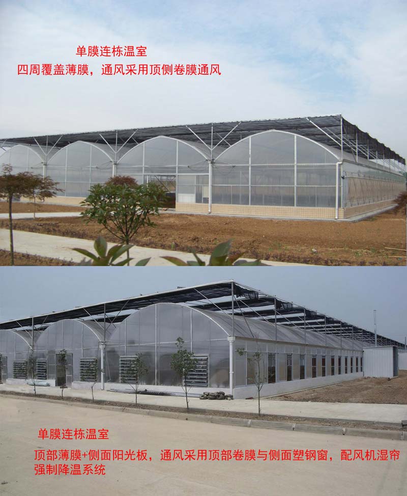 陕西温室|陕西大棚建设