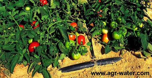 ����װ,�ر���װ,�ܿհ�װ�ȡ������¶�,����,����ѹ��,��ͷ���Ȳ�ͬ����ͬ��������ƿ���������ϵ��