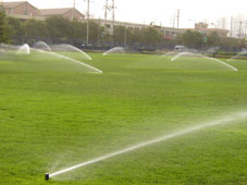 ԰�־��۹�� С���̻����  �����̻����  ��ҵ��� ���������� �˶������ �߶�������� �̻������ ��ƺ��� 